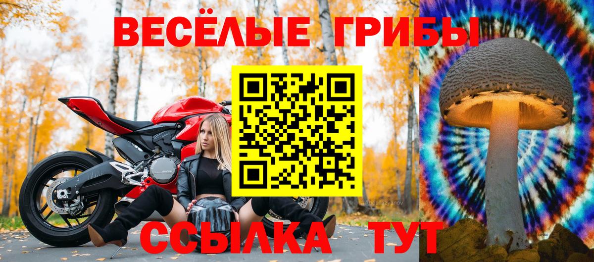 Галлюциногенные грибы GOLDEN TEACHER Десногорск