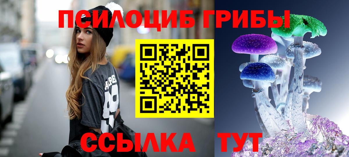 Десногорск  Галлюциногенные грибы Psilocybine cubensis  Вход с VPN 